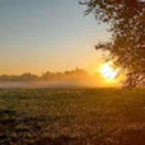 Meet your Posher, Ubaldo